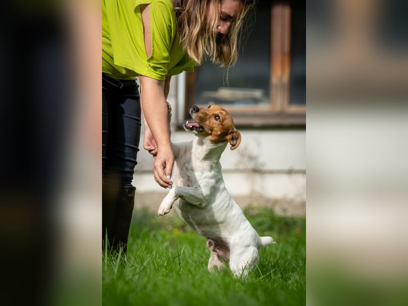 Wollen Sie Fermin kennenlernen?