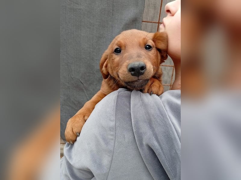 Tini ❤️ aufgeweckt, neugierig + lebensfroh