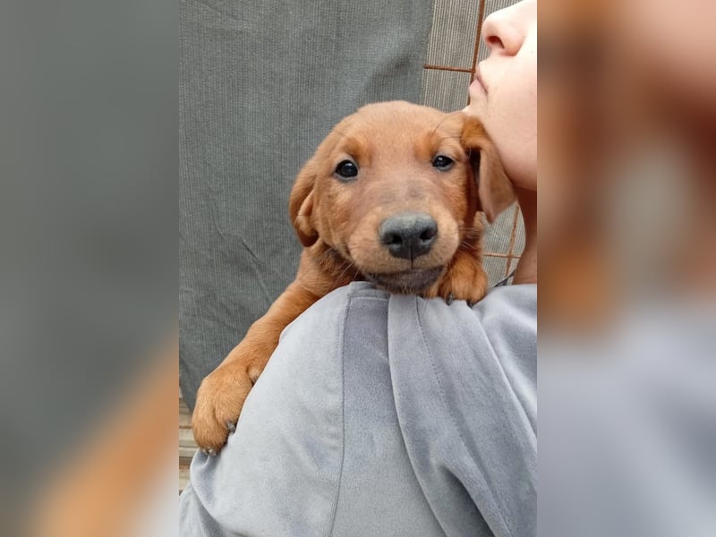 Tini ❤️ aufgeweckt, neugierig + lebensfroh