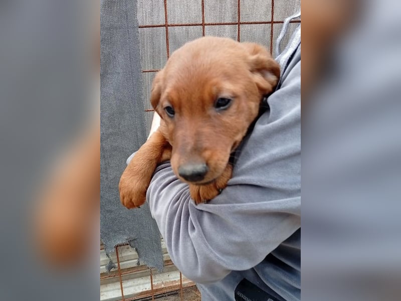 Tini ❤️ aufgeweckt, neugierig + lebensfroh