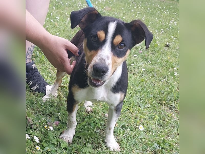 Biggi ein winziger lieber  Schatz