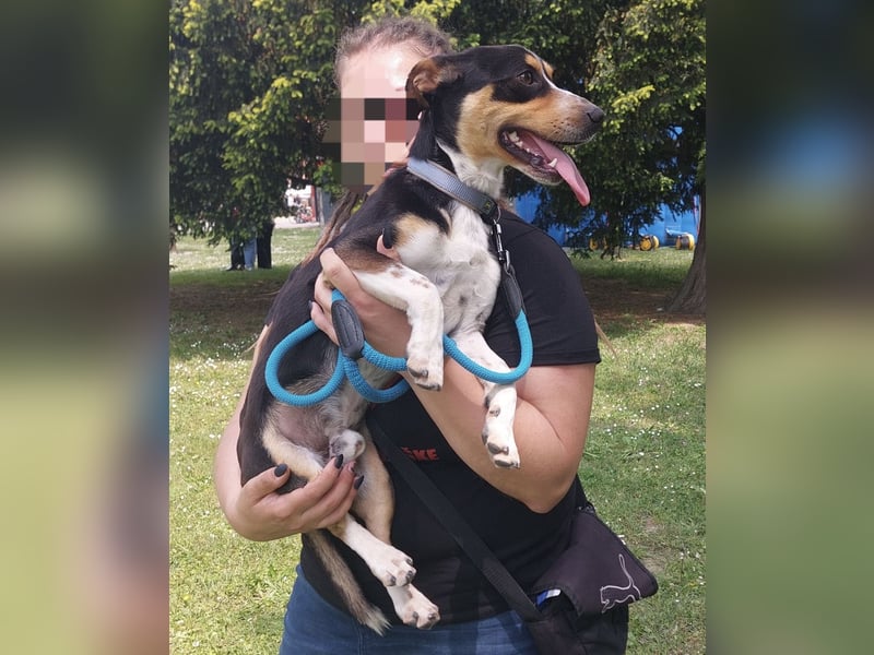 Biggi ein winziger lieber  Schatz