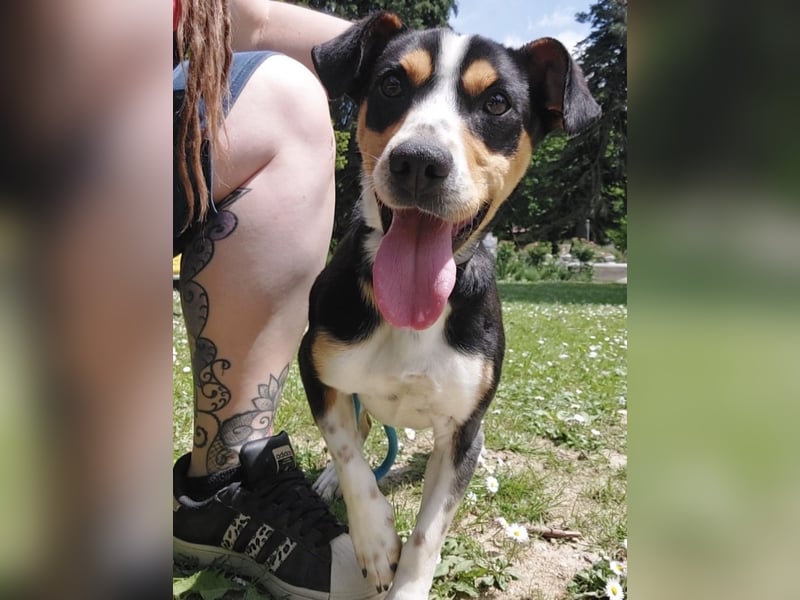 Biggi ein winziger lieber  Schatz