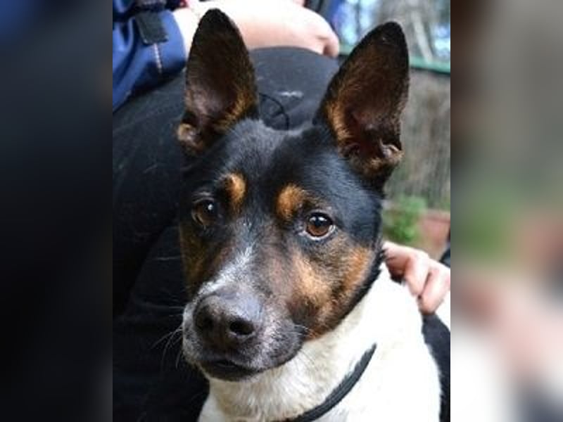 Matteuccio - Ein kleiner Kämpfer mit großem Herzen