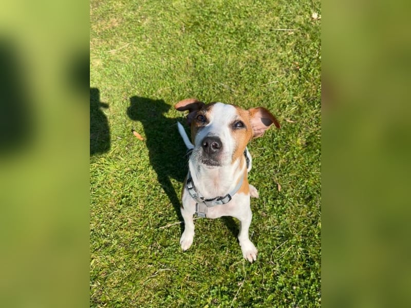 Benny auf dem Weg in sein Glück