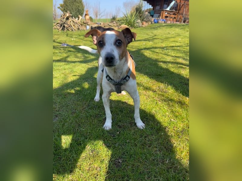 Benny auf dem Weg in sein Glück