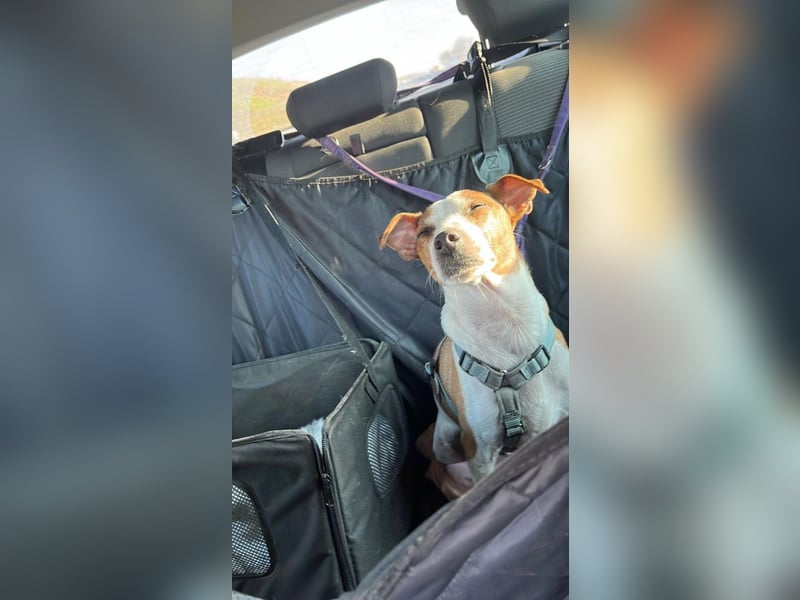 Benny auf dem Weg in sein Glück