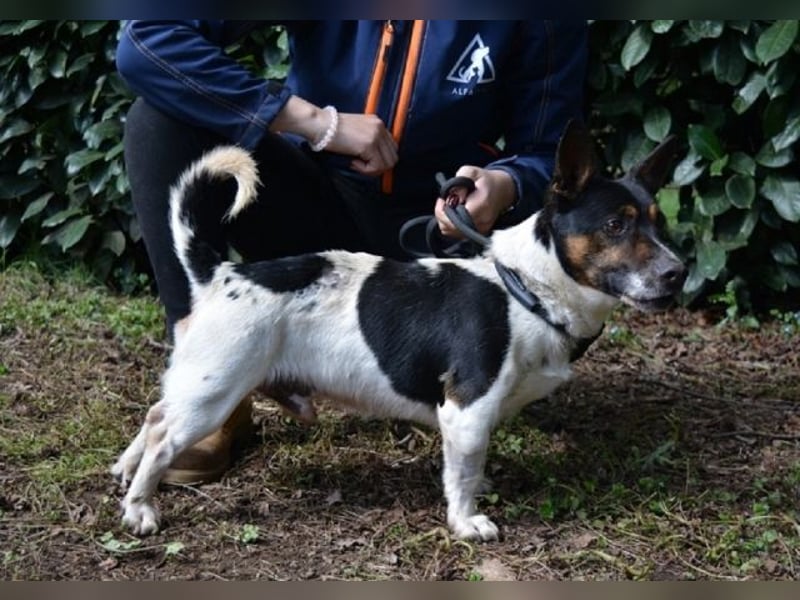 Matteuccio - Ein kleiner Kämpfer mit großem Herzen