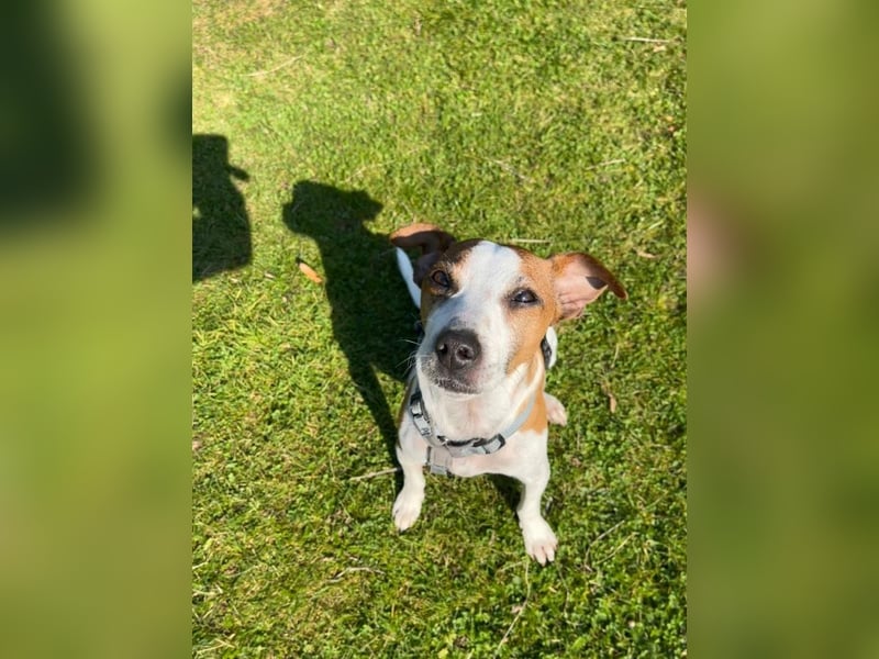 Benny auf dem Weg in sein Glück