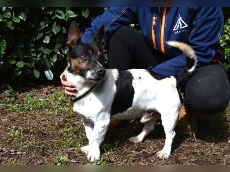 Matteuccio - Ein kleiner Kämpfer mit großem Herzen