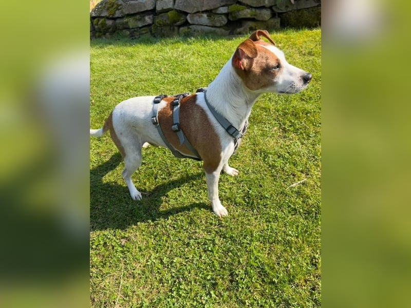 Benny auf dem Weg in sein Glück