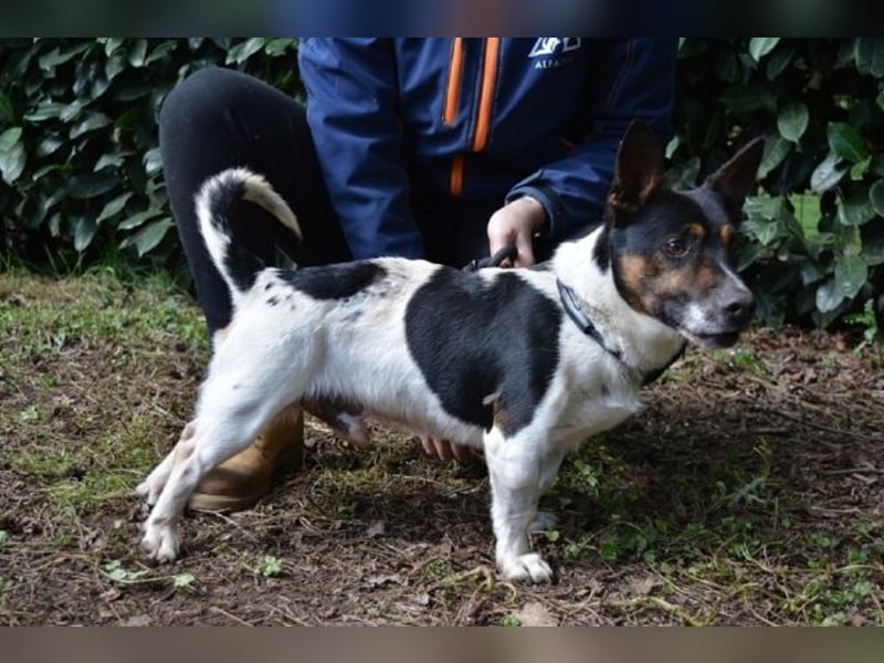 Matteuccio - Ein kleiner Kämpfer mit großem Herzen