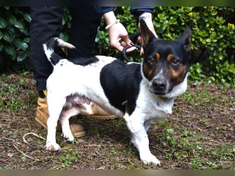 Matteuccio - Ein kleiner Kämpfer mit großem Herzen