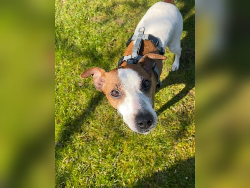 Benny auf dem Weg in sein Glück