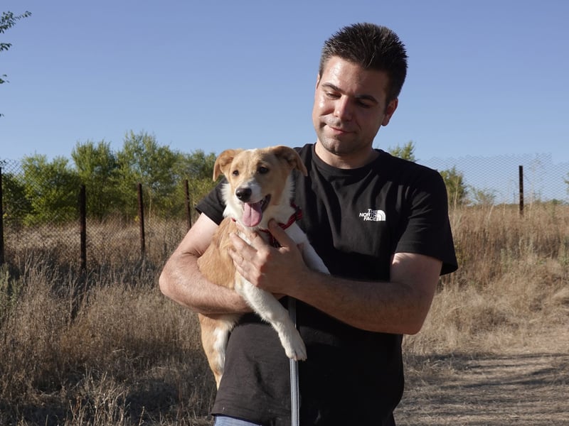 Kleine Maya wünscht sich ein Zuhause Kleine Maya wünscht sich ein Zuhause