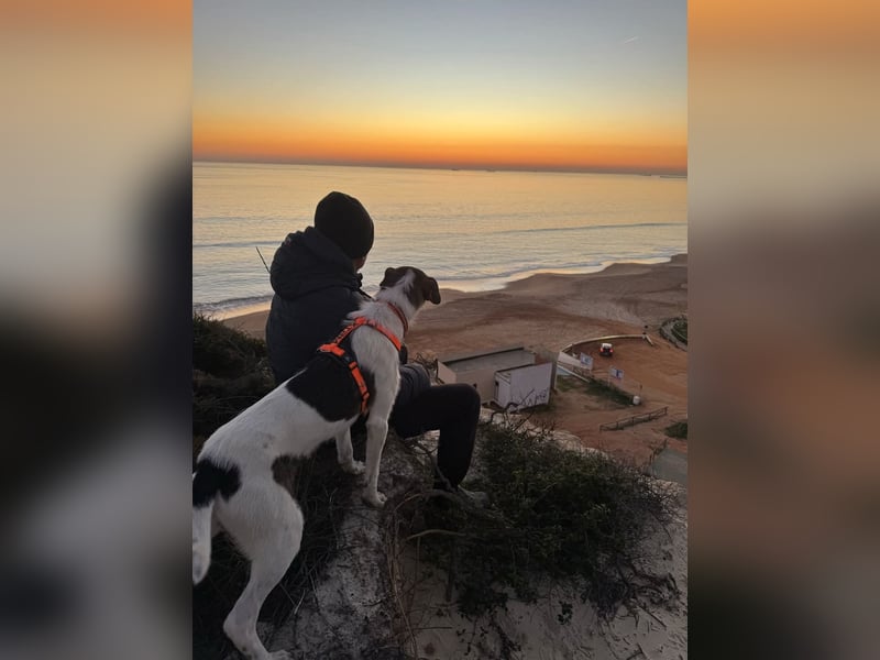 BAMBAM - der Sensible