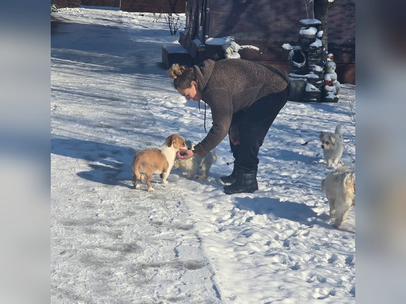 Minnie - einfach ausgesetzt