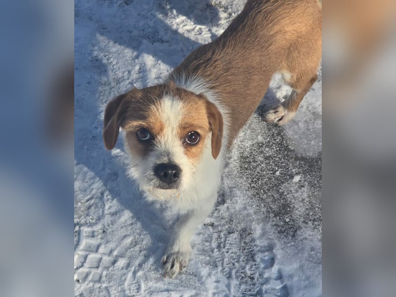 Minnie - einfach ausgesetzt