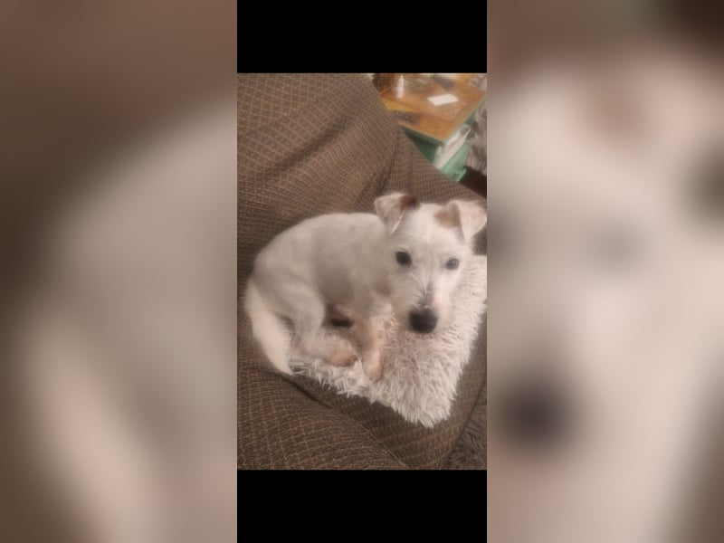 Pötyi VA – Hätte gerne wieder eine Familie