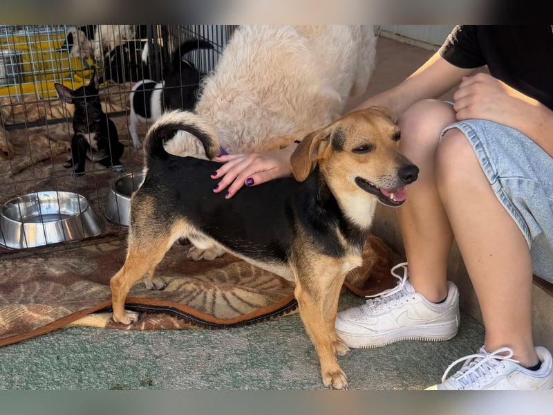 Tyson: klein - aber oho!