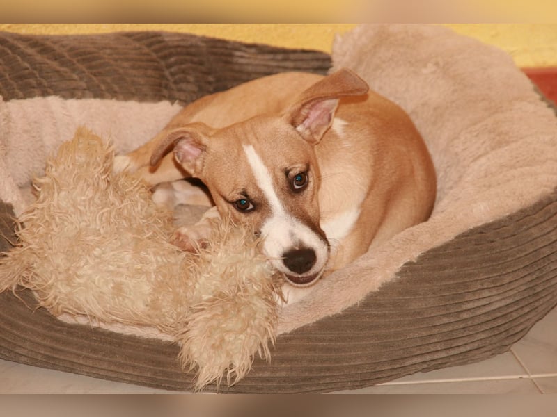 Paolo: Lebensfreude pur