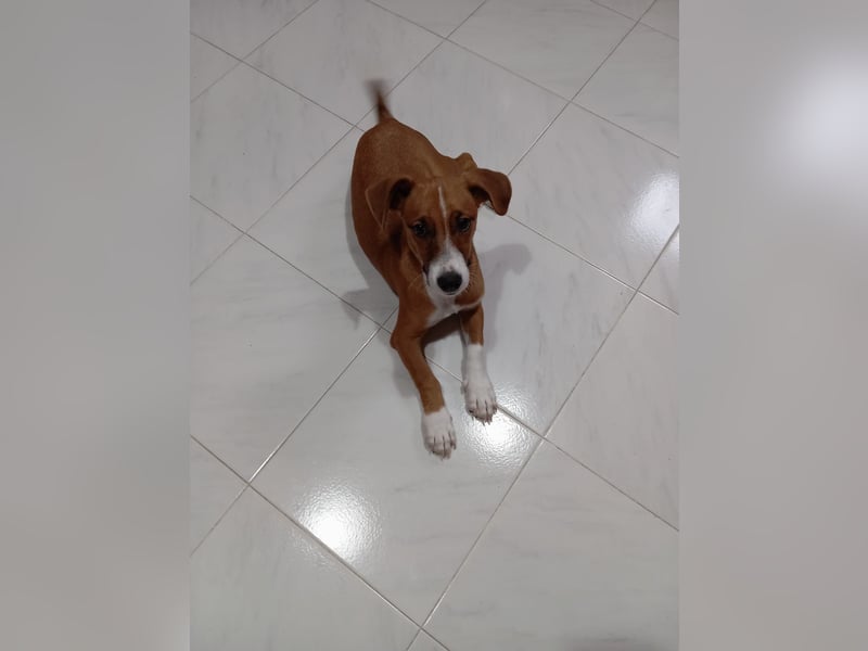 Vincenzo: Lebensfreude pur