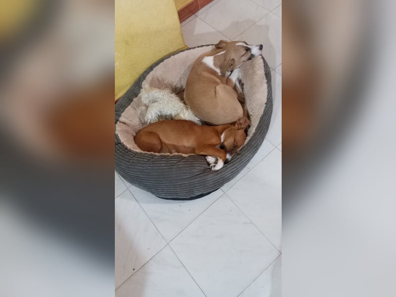 Paolo: Lebensfreude pur