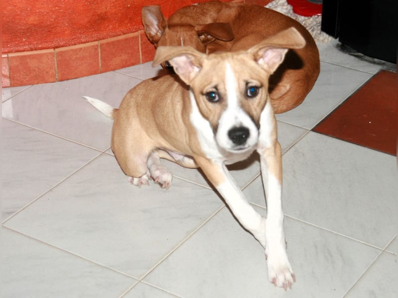 Paolo: Lebensfreude pur