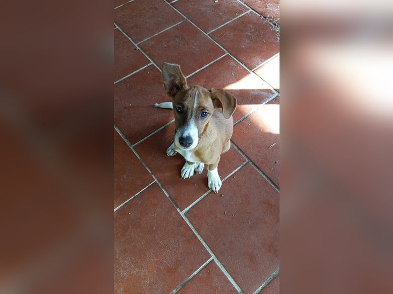 Vincenzo: Lebensfreude pur