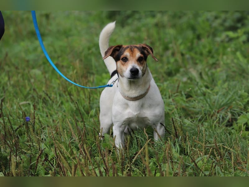 ENZO - das freundliche, soziale Kerlchen möchte mit seiner Familie tolle Abenteuer erleben!