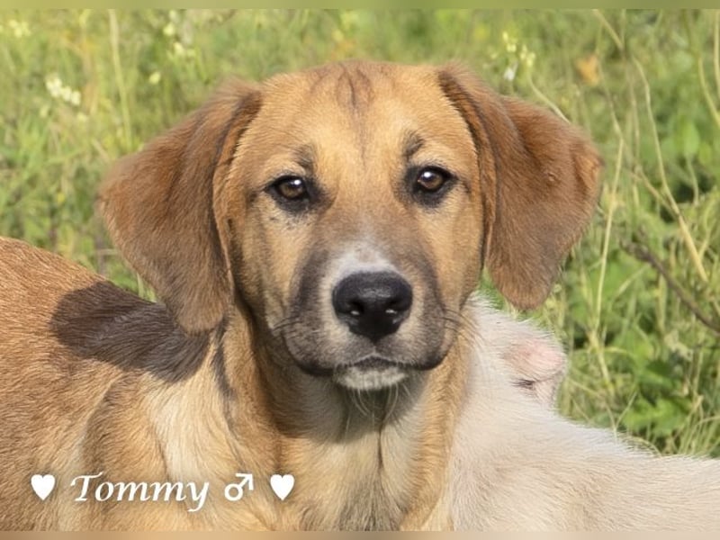 Zwei kleine Jungs   suchen ein Zuhause