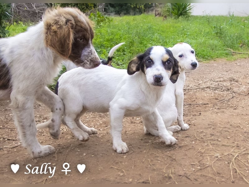 Winzige Sally sucht ein Zuhause