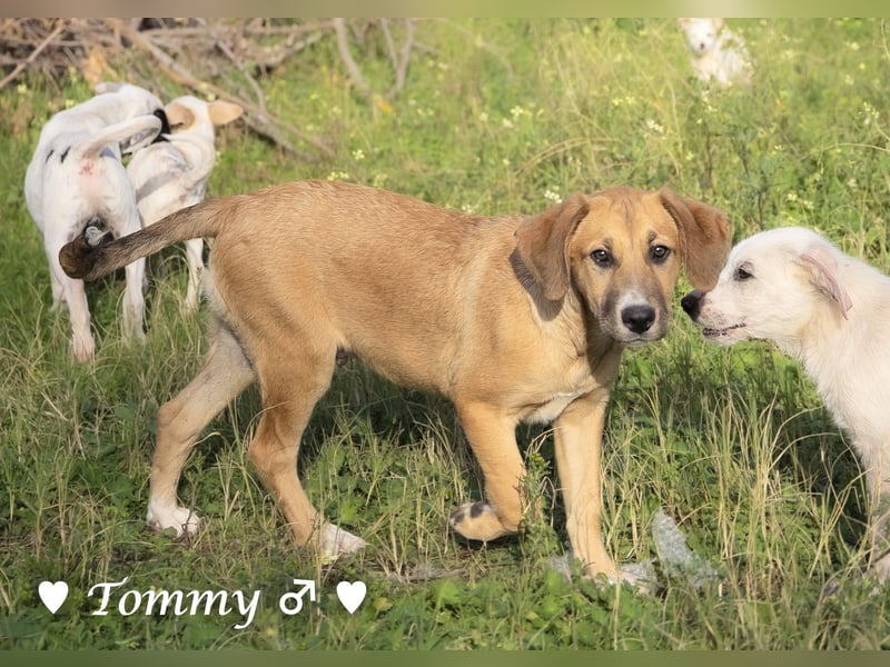 Zwei kleine Jungs   suchen ein Zuhause