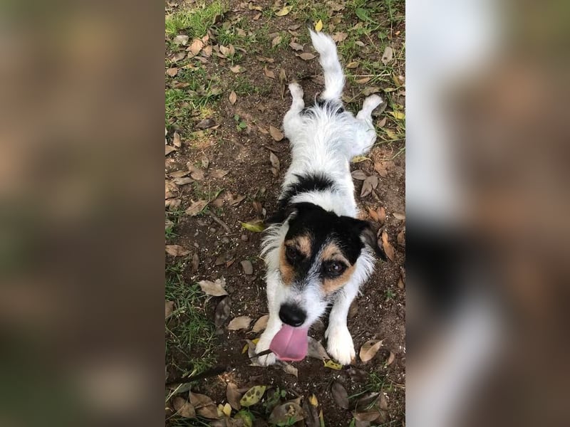 Max und Anny gibt es nur als Duo