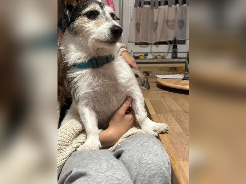 Max und Anny gibt es nur als Duo