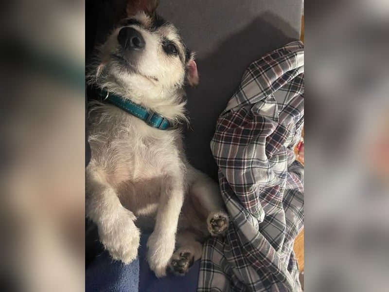 Max und Anny gibt es nur als Duo