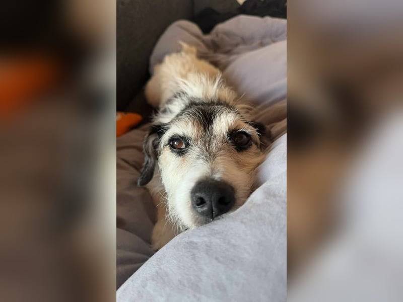 Max und Anny gibt es nur als Duo