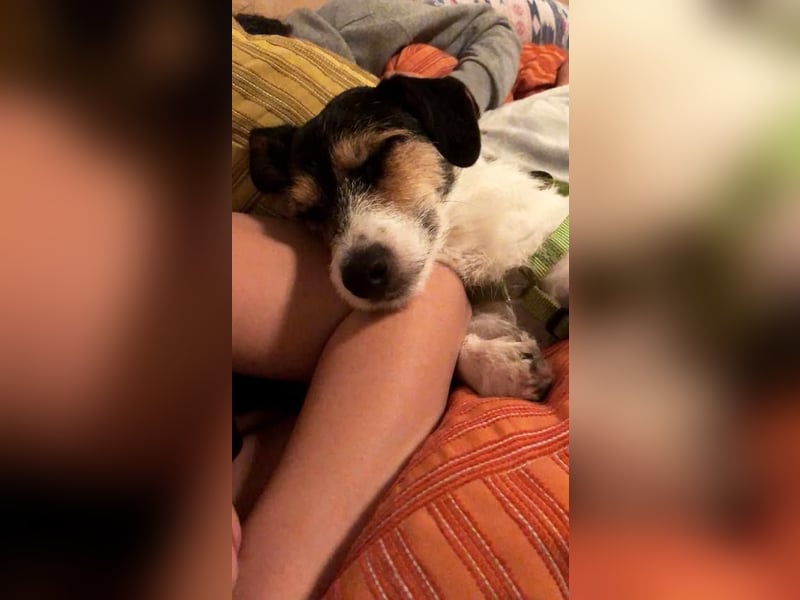 Max und Anny gibt es nur als Duo