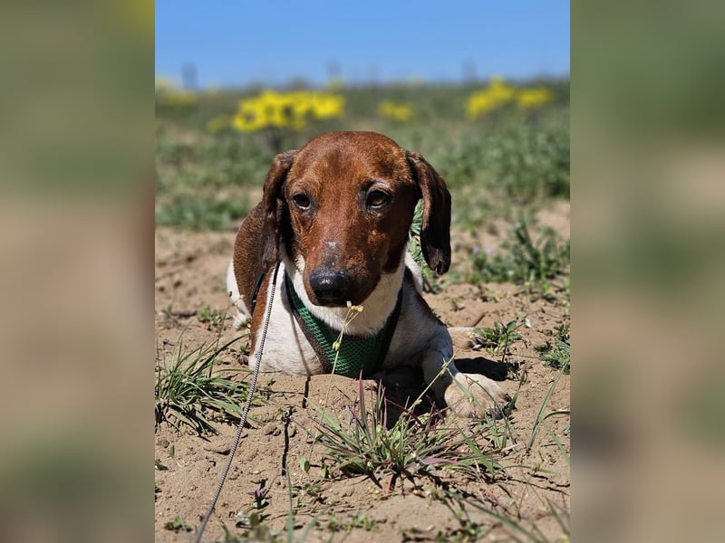 Lönne liebt spontane Abenteuer