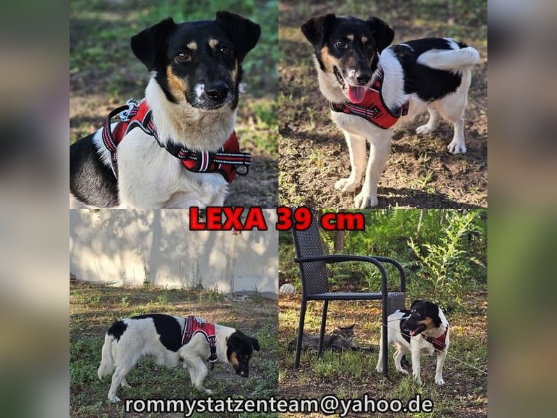 Lexa ist offen, freundlich und klug