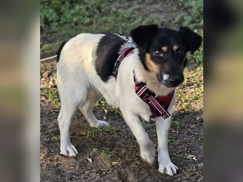 Lexa ist offen, freundlich und klug