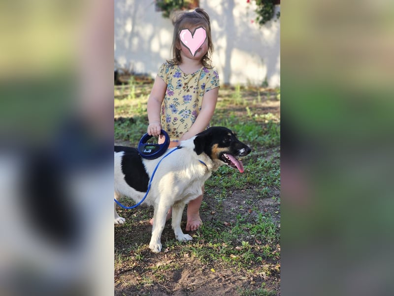 Lexa ist offen, freundlich und klug