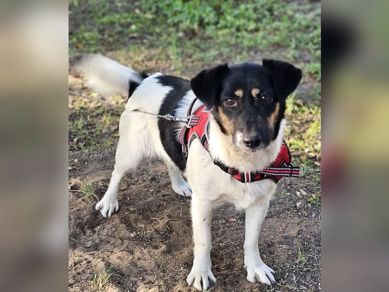 Lexa ist offen, freundlich und klug