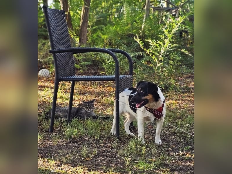 Lexa ist offen, freundlich und klug