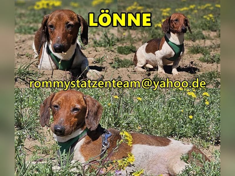 Lönne liebt spontane Abenteuer