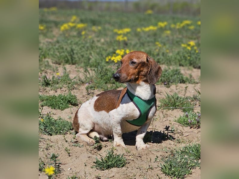 Lönne liebt spontane Abenteuer