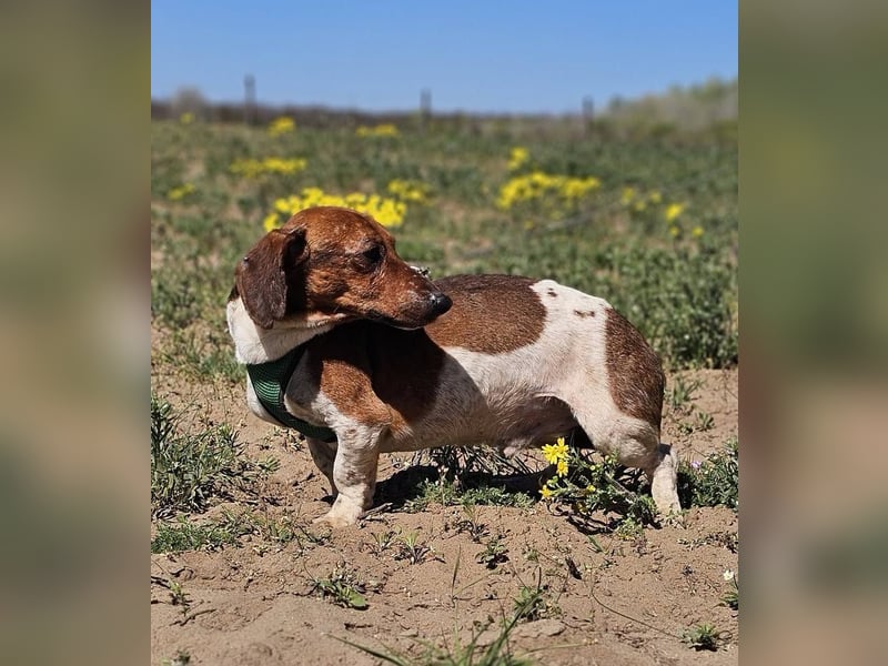 Lönne liebt spontane Abenteuer