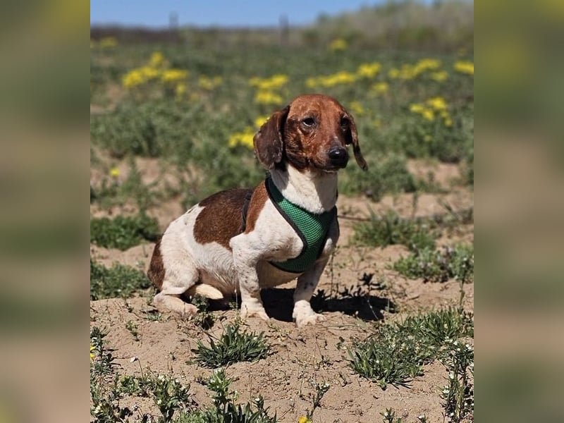 Lönne liebt spontane Abenteuer