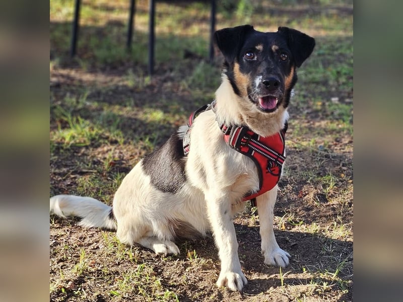 Lexa ist offen, freundlich und klug
