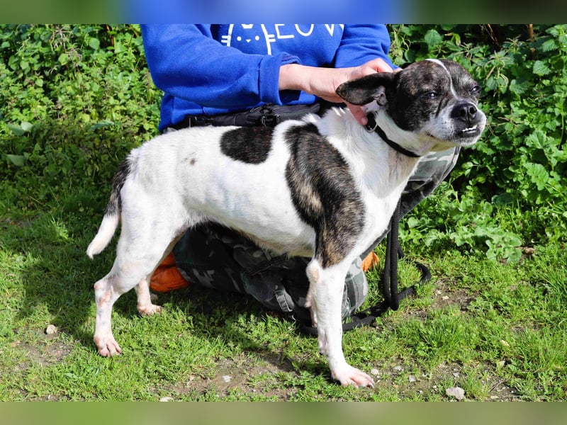 Typisch Frohnatur ♦️I Z Z Y ♦️ in der Cantinho da Milu ⏳ 1/2026